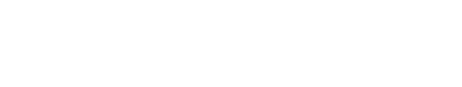 Logo Little Big Story & Domino Production & Sophimages Up North
